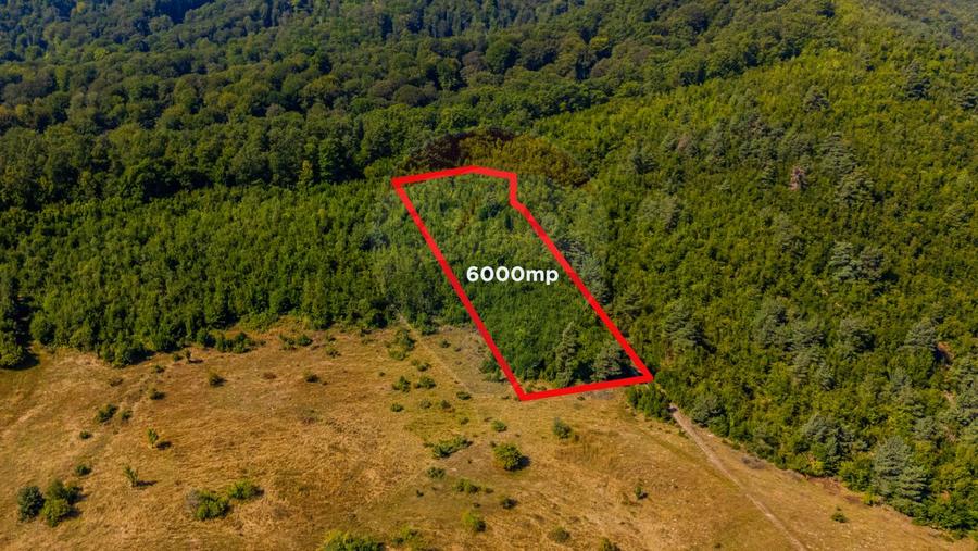 Teren 6,000mp Crizbav / Strada principala