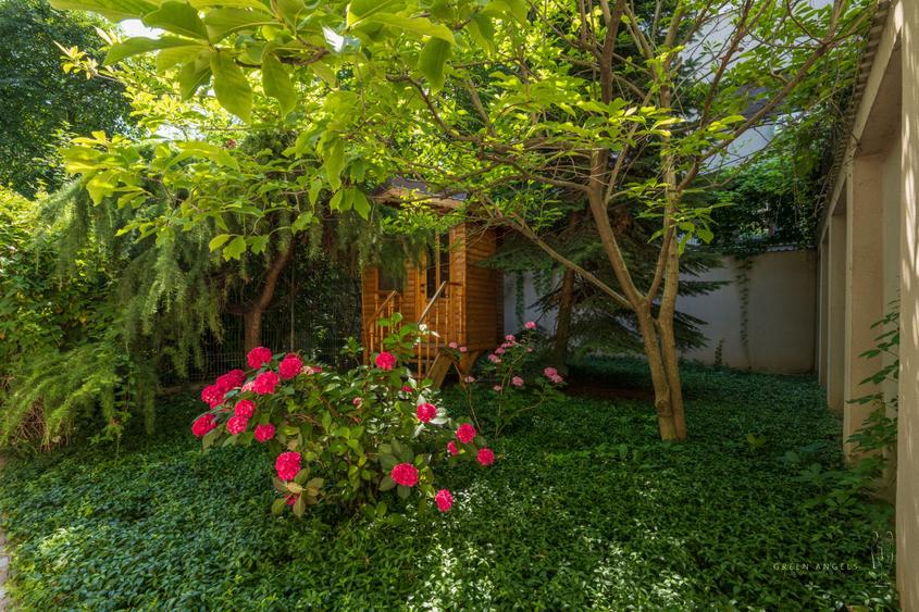 Vila de Vanzare Unirii George Georgescu |