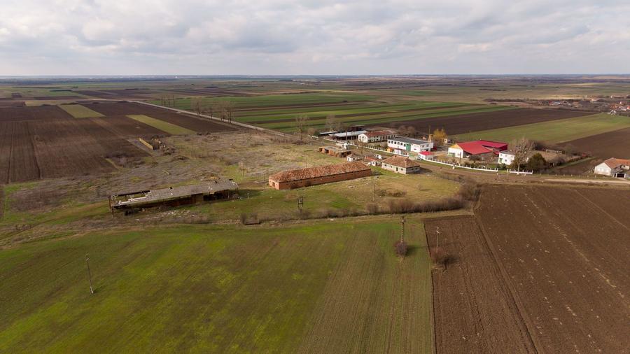 Fermă cu teren intravilan de 35000 mp în Mișca