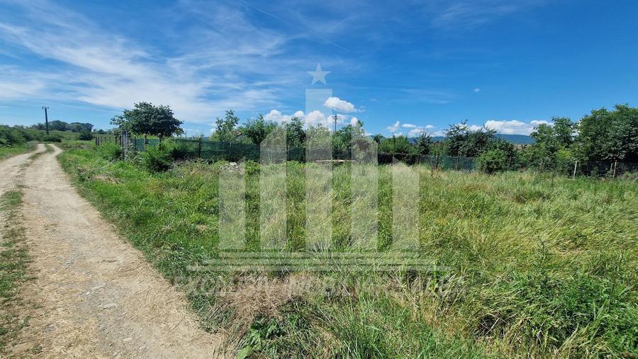 Teren intravilan | 480 mp | 20 ml deschidere | Partos
