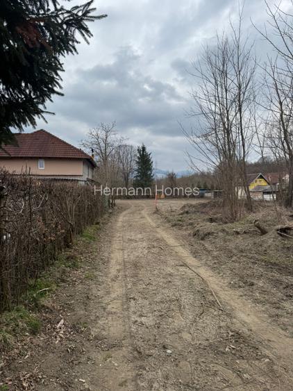 Teren Intravilan - parcelabil - 1.450 mp - Valea Avrigului - 5