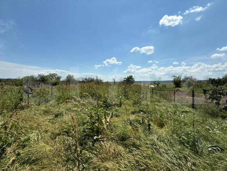 Casa P+E, 110 mp utili, 700 mp teren, zona Sat Jiului
