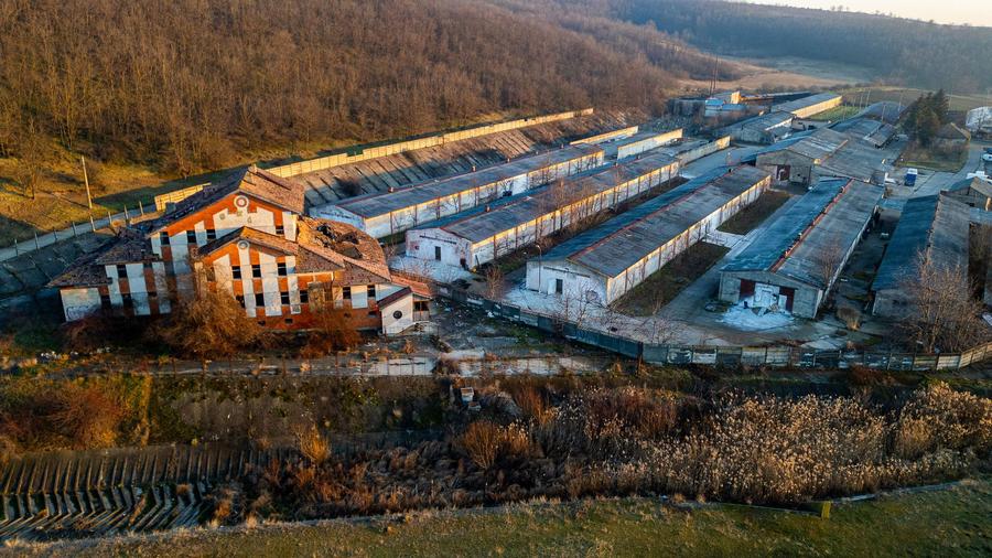 Fosta Ferma a Partidului de la Horgesti - de vanzare