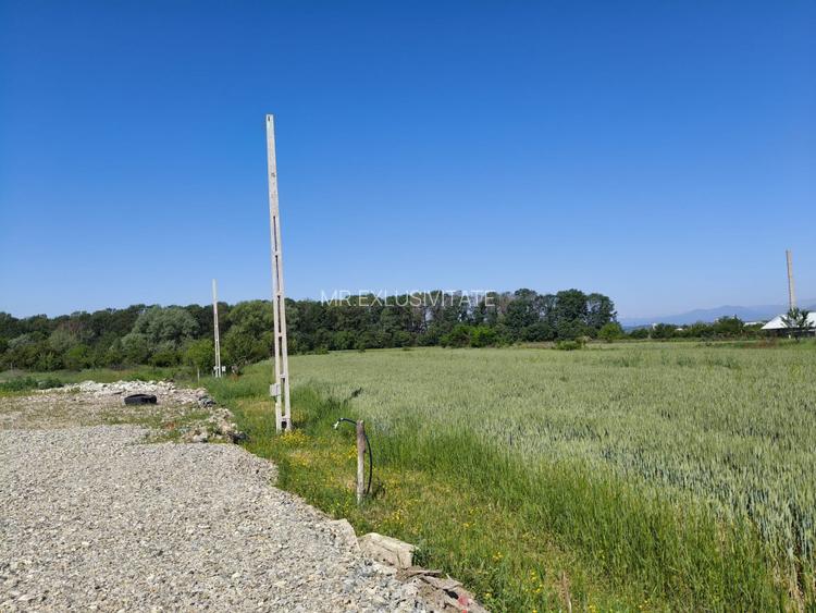 Teren 10.294 mp de vânzare Târgu Jiu | Intravilan + Extravilan | Utilități - 6