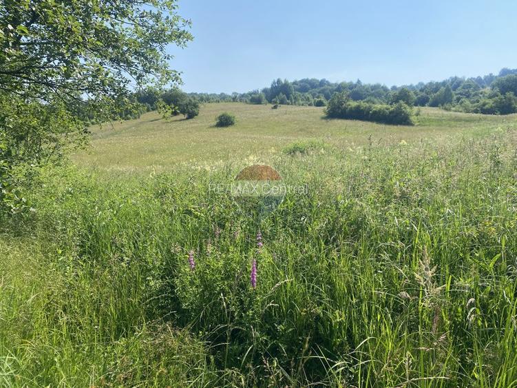 Teren 4,306mp Vama Buzaului langa Cascada Urlatoarea - 6