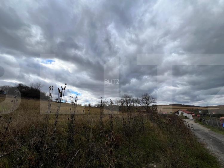 Teren de vanzare perfect pentru investitie in Babutiu - 3