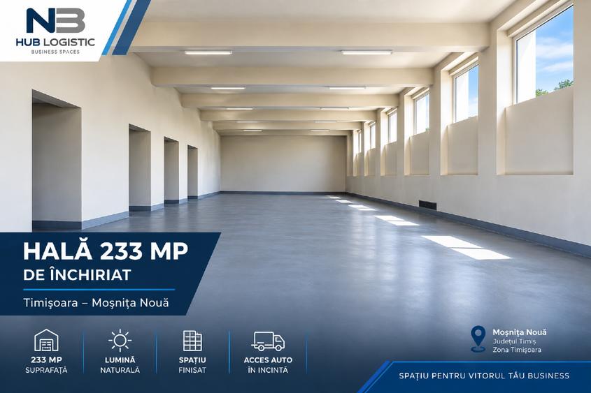 Hala 233 mp de inchiriat Timisoara Mosnita Noua