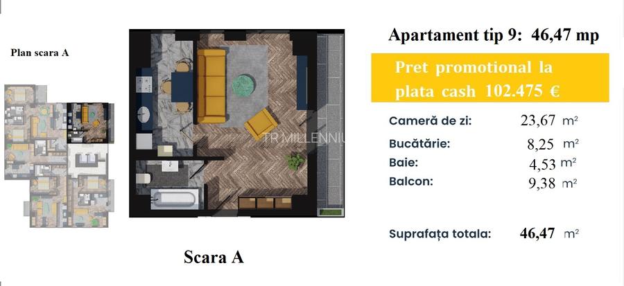TR Millennium Pacurari - 1