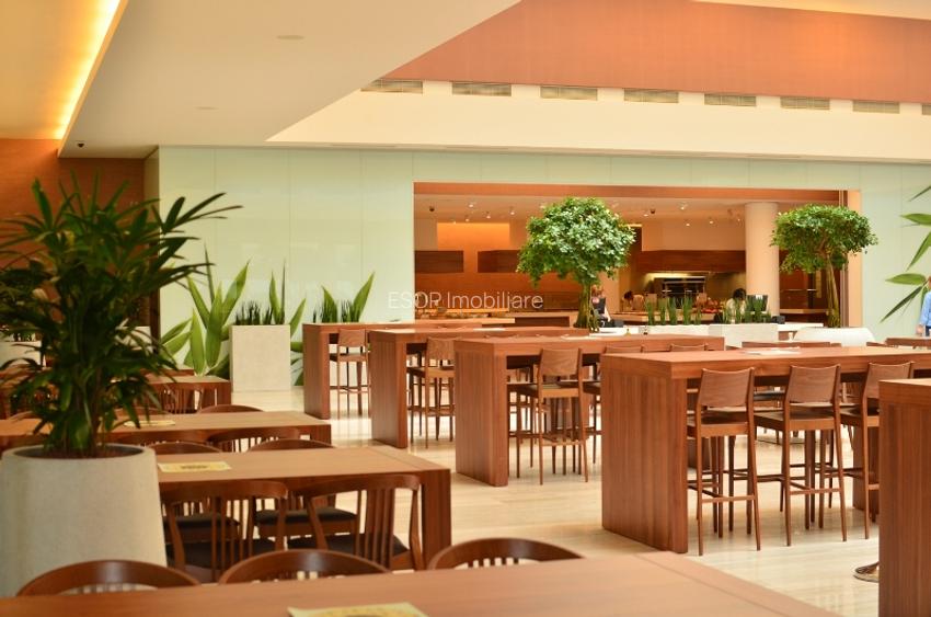 Platinum Business & Convention Center, Baneasa, 493 - 5272 mp  0% comision! - 12