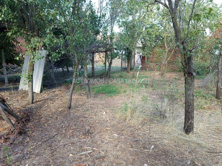 Naidas, Casa 7 Incaperi, 842mp Teren, Pret Negociabil - 23