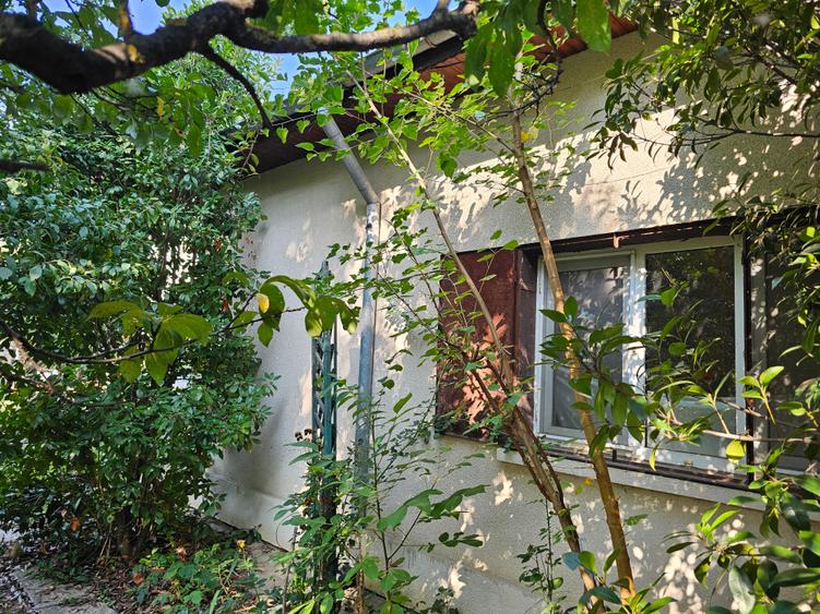 Bolintin Vale-casa 3 camere, toate utilitatile,teren 1000 mp, garaj, libera,acte