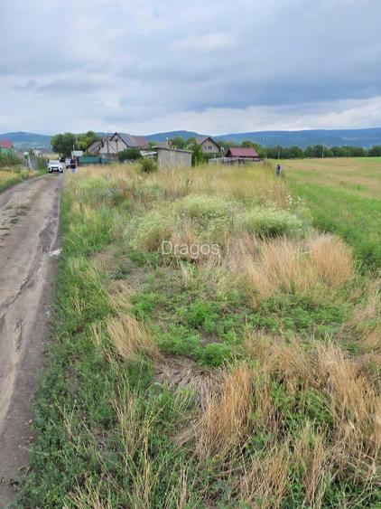 Teren intravilan de vânzare, direct de la proprietar! Preț negociabil! - 2