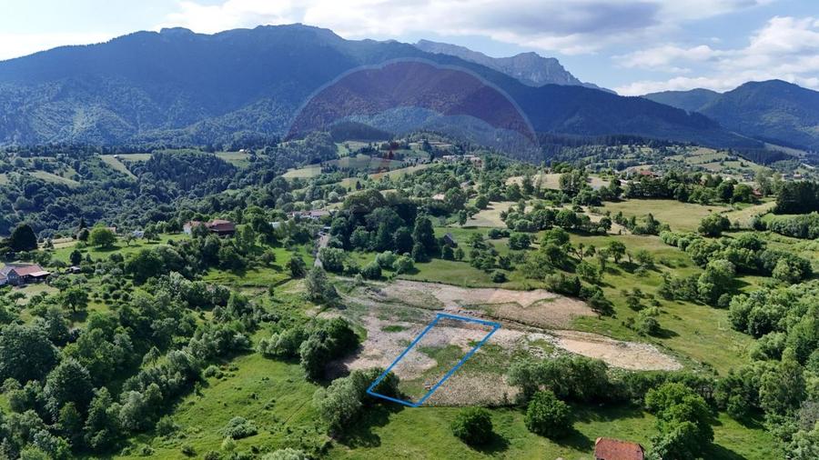 Teren intravilan 1900 mp| Bran / Sohodol | Priveliște superbă