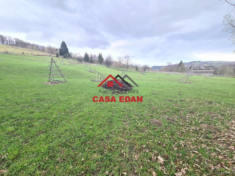 Teren extravilan Valea Doftanei 20.500 mp 6e mp