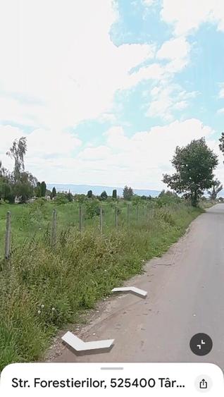 De vânzare: livadă de nuci pe teren intravilan.