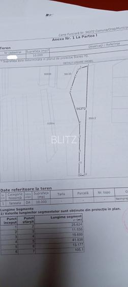 Teren intravilan 10.000 mp plan | Utilități în apropiere | La 8 min de Baia Mare - 3