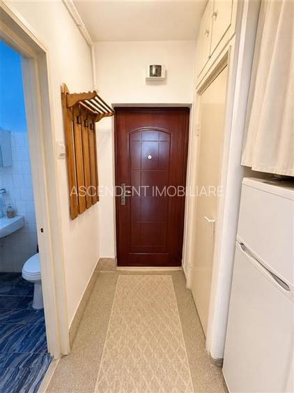 Garsoniera cocheta, baie si bucatarie proprie, etaj 3, Aleea Carpati, investitie - 4