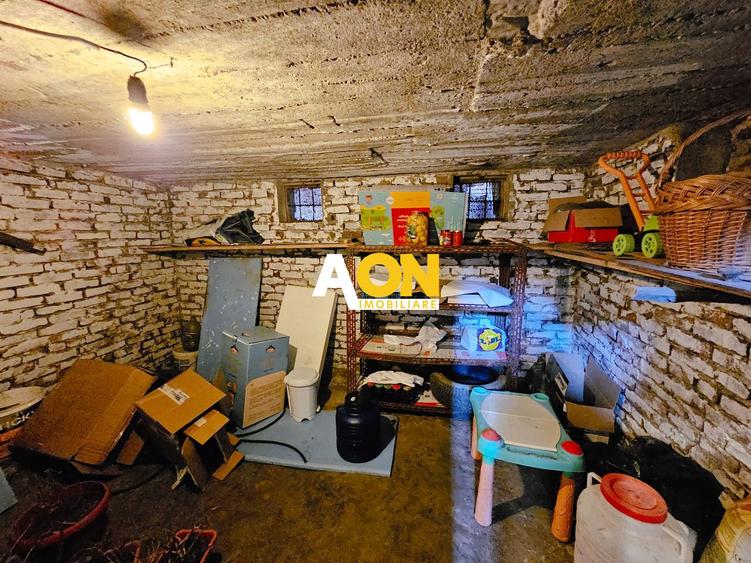 Casa S+P+M, 5 camere, 955 mp teren, zona Centru