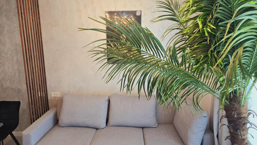 Studio Axxis Mamaia Nord pe plaja parcare inclusa termen lung