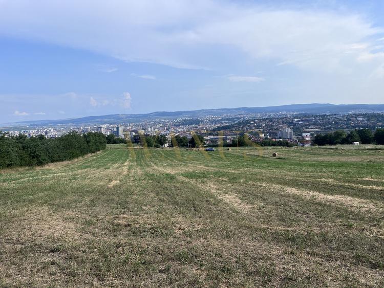 Oportunitate de investiție Teren intravilan, 3150 mp , Panoramic , Dambu Rotund