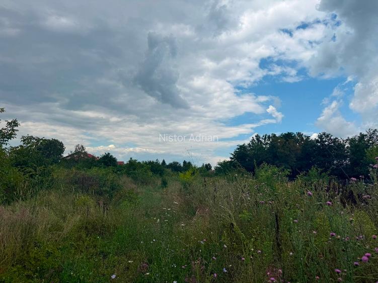 Buftea ultracentral  toate utilitatile la teren   - 16