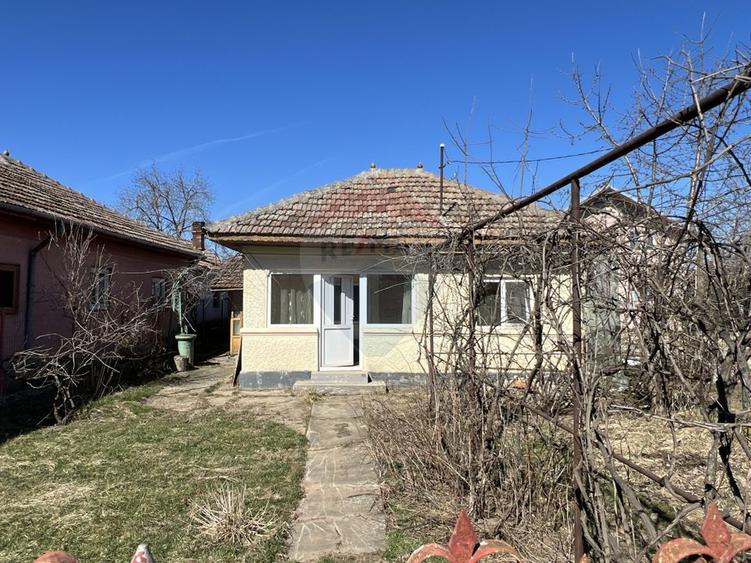 Teren 1192 mp cu livadă matură + casă + utilități | Lipia, Gruiu