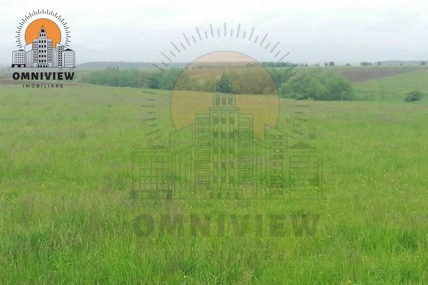 Teren intravilan Dobolii de Jos 47.700 mp | PUZ+autorizație | POT 50%