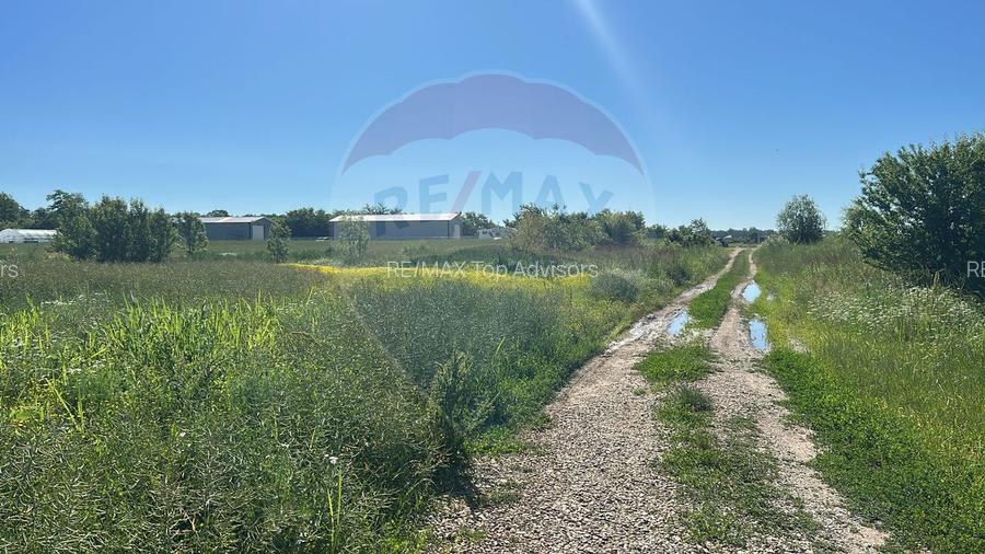 Vanzare Teren Intravilan Padure Izvorani (prin) Strada Florilor - 4
