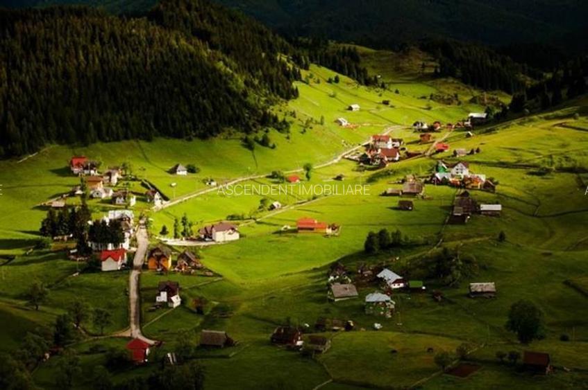 Locatie cu patru anotimpuri intr- o zi, incadrata de 2.350 teren, Bran - Fundata - 9