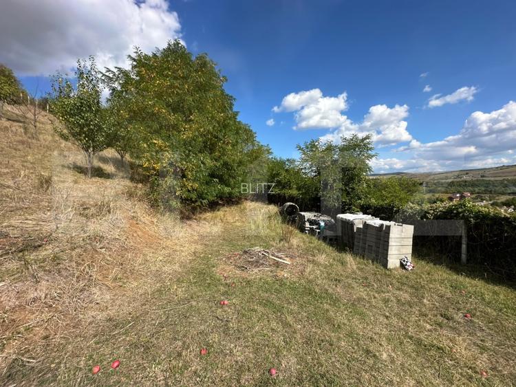 Teren intravilan, 2.700 mp, zona Viisoara - 4
