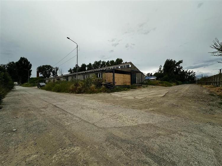 Hale de inchiriat in Tomesti, la str. Plopilor, de la 324mp la 2000mp