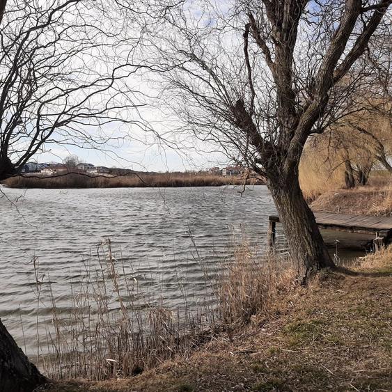 Teren la Lac intravilan construcții Corbeanca Ilfov