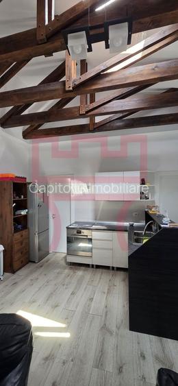 Casa zona Platinia Parcul Mare curte teren 800mp + apartament/ birou - 9
