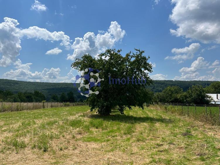 Teren de vânzare 2.531 mp Centrul satului Poieni, Priveliste spre padure