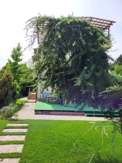 Dimineți pe ponton, seri la piscină – viața la Snagov