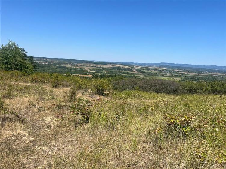 RECO Teren extravilan Holod 27400 mp