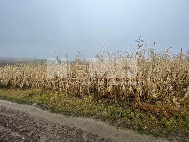 TEREN EXTRAVILAN | DOUA PARCELE 2.84 HA| DARMANESTI