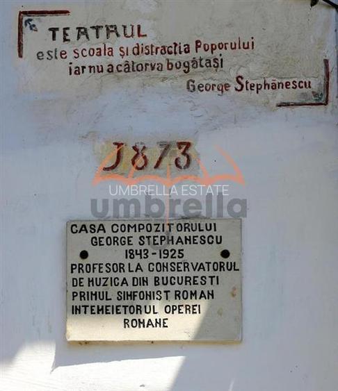 Conac - Casa Memoriala George Stephanescu - 4