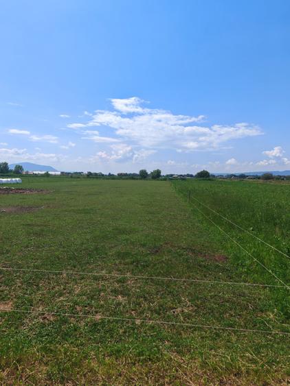 Teren Intravilan de vanzare