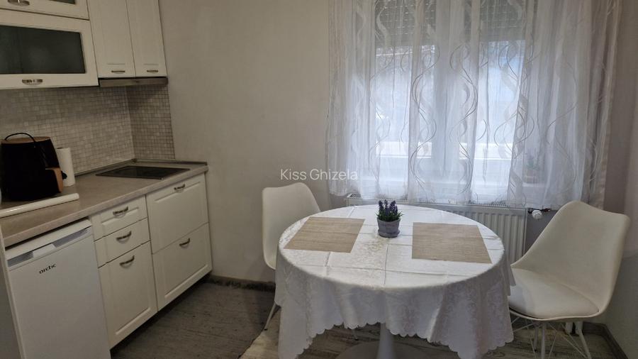 Apartament 2 camere de inchiriat zona Prima Shop - 9