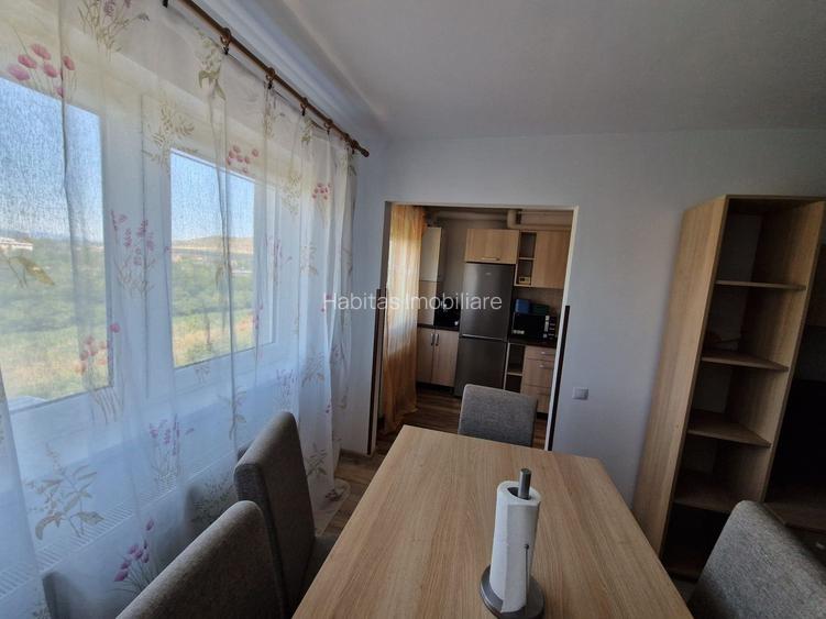 Apartament 2 camere de inchiriat, parcare subeterana, zona Vivo BMW - 9