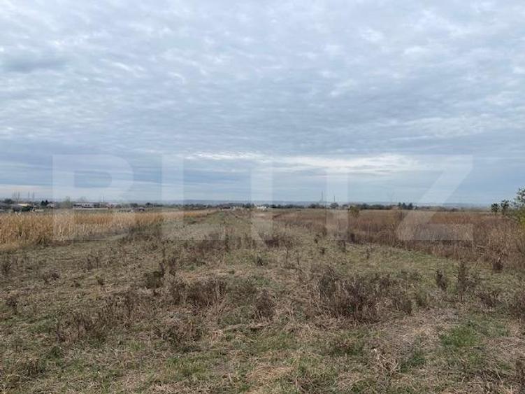 Teren extravilan de 2539 mp in Dudovicesti