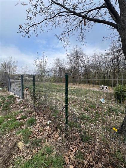 RECO Teren intravilan, loc de casa sau investitie Saldabagiu de Munte