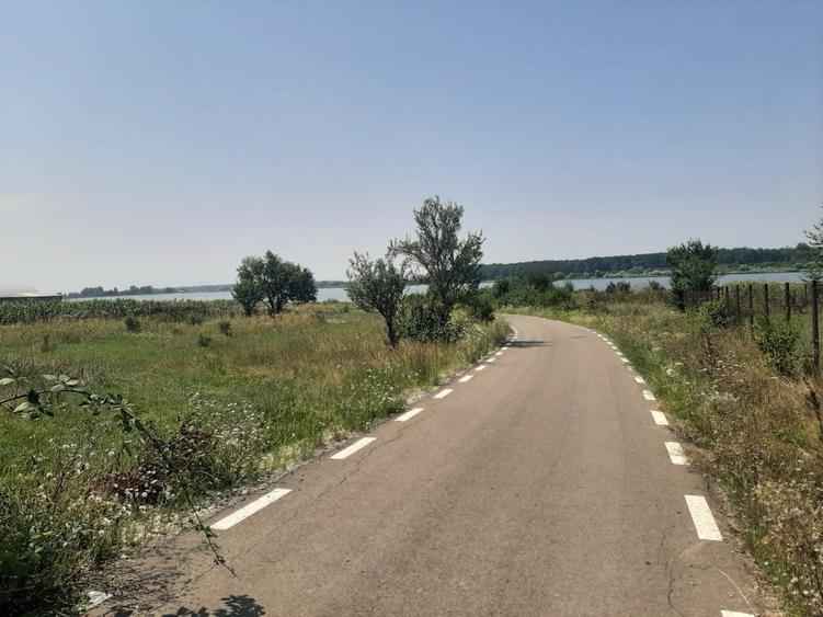 PROPRIETAR Teren stradal ILFOVENI