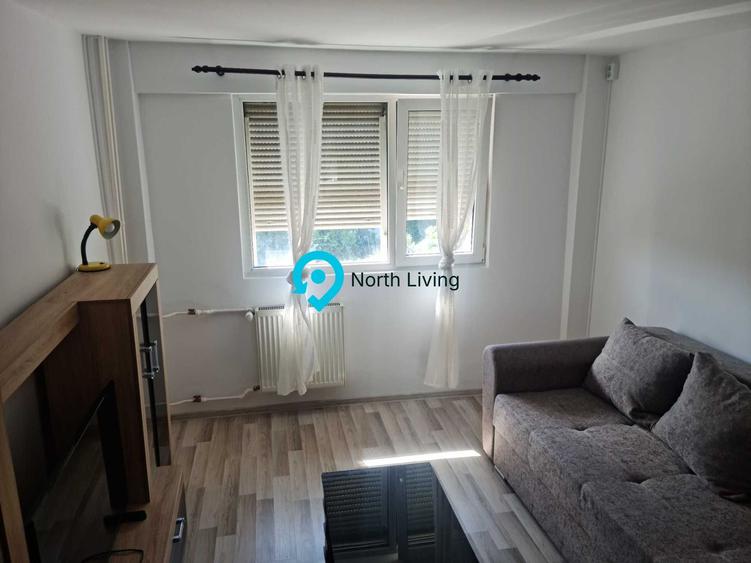 Apartament 2 Camere Dr Iacob Felix | Victoriei Ideal Investitie
