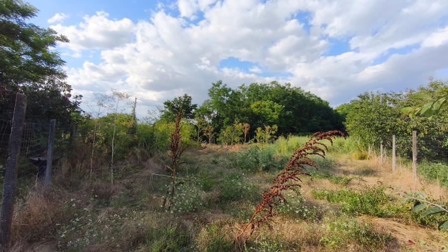 Teren intravilan 1.112 mp — zonă centrală, Frumușani, jud. Călărași