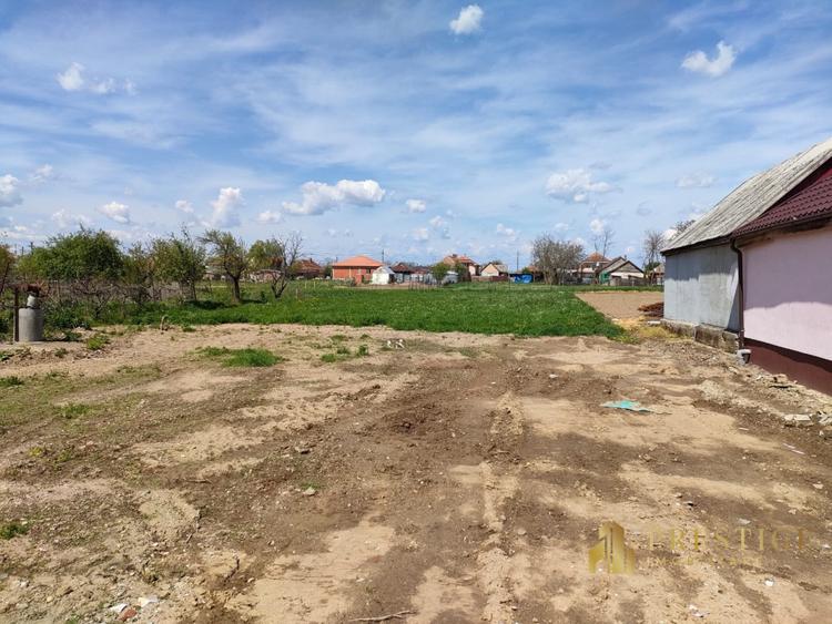 Teren intravilan cu proiect de casa de vanzare in Tarian - Bihor