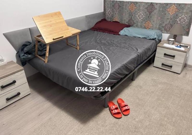 Apartament 1 camera in Bucium