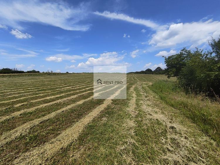 Teren de 11.000 mp cu casă și teren agricol | La 40 km de București |
