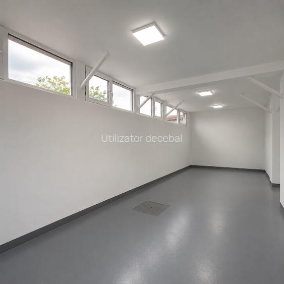 Spațiu comercial stradal de închiriat – Șoseaua Fundeni 112, București - 6